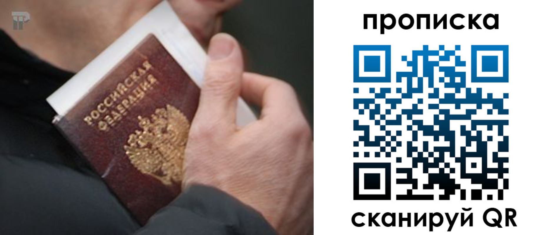 временная регистрация гарантия в Мончегорске